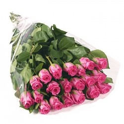 11 Rose rosa