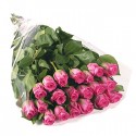 15 Roses Roses