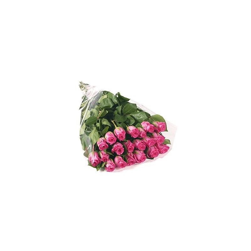11 Roses Roses