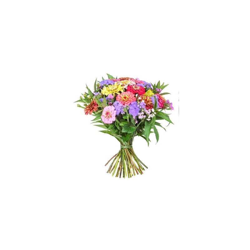 Combinazione di fiori di stagione dai colori misti