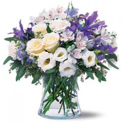 Combinazione di rose-iris-garofani-alstroemeria