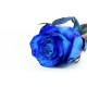 1 Pink Blue