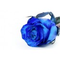 1 Pink Blue