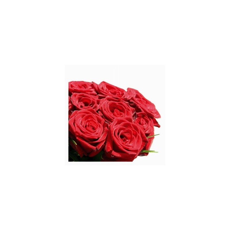15 roses rouges en boîte