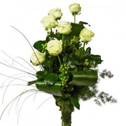 7 rose bianche