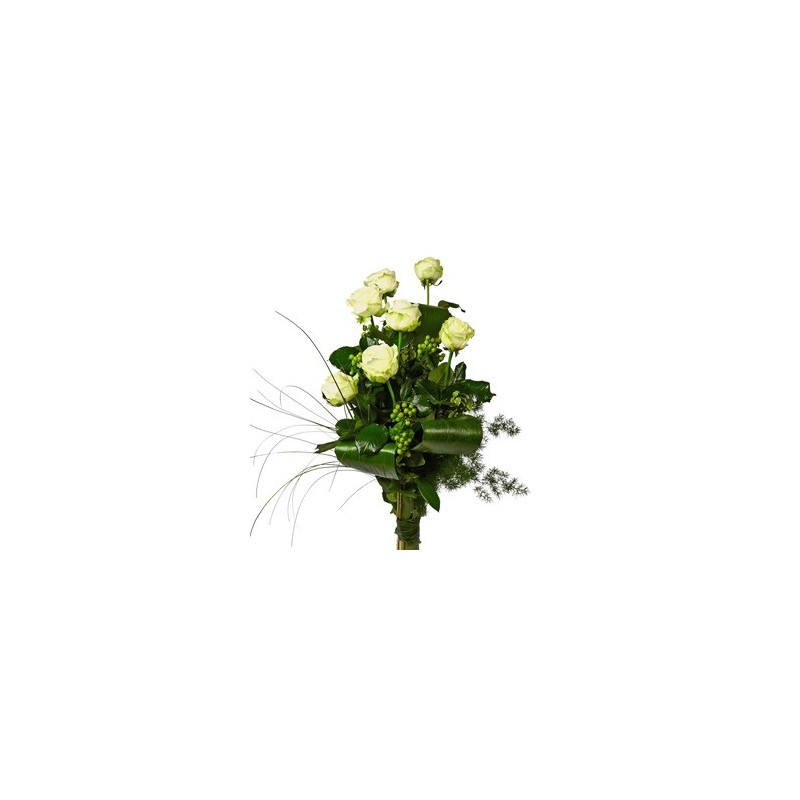 7 rosas blancas