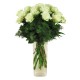 Blanco Tierno 
