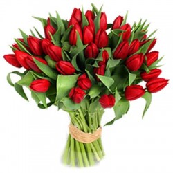  San Valentino1 -bouquet de 7 roses rouges feuilles vertes