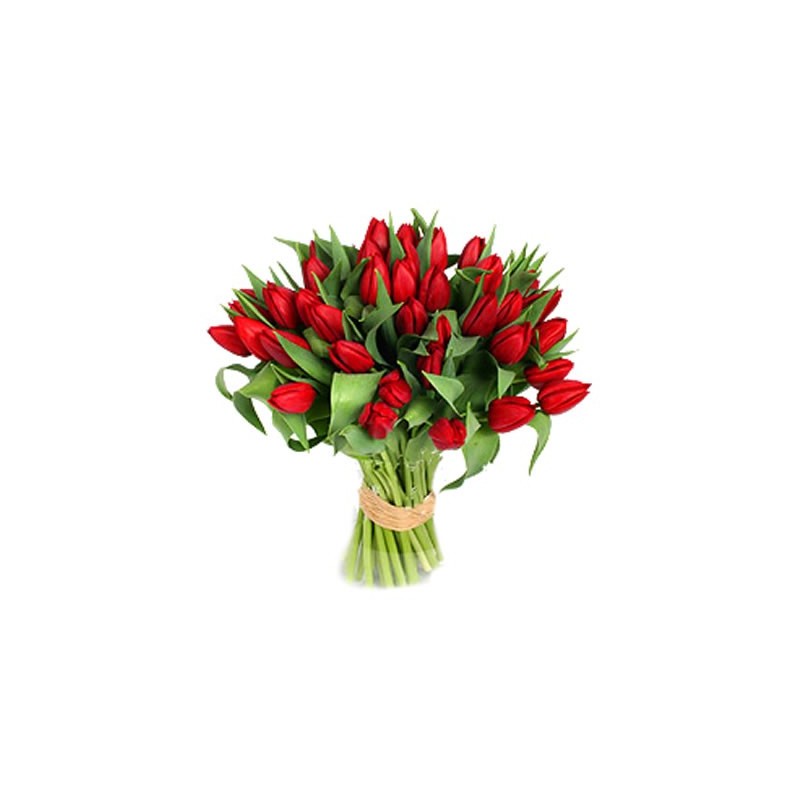  San Valentino1  -mazzo di  7 rose rosse in fogli di verde