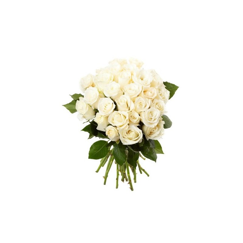 Bébé blanc