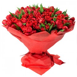 100 tulipani rossi  per Te!