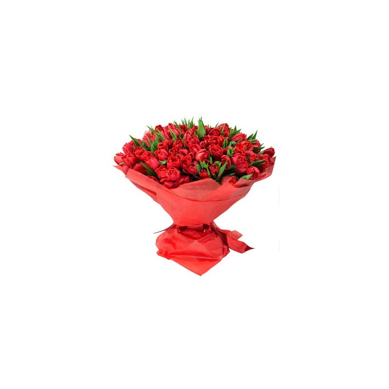  Bouquet di 100 tulipani rossi  