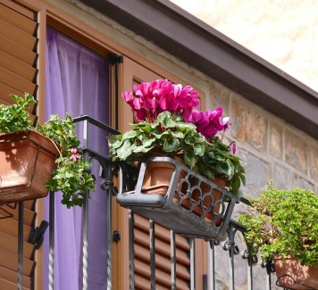 Spedizione fiori a Roma: un tocco di Bellezza firmato Artefiori