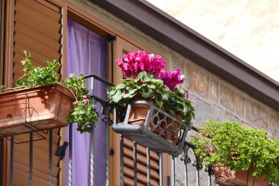 Spedizione fiori Roma
