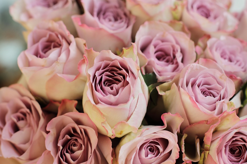 spedire fiori