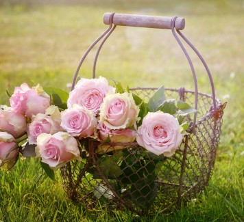 Spedire fiori a Roma: perché le rose si regalano dispari?