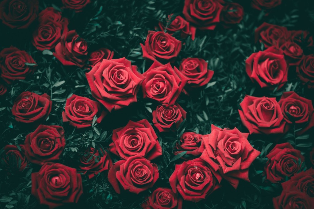 spedire fiori