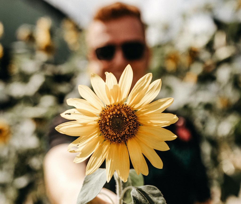 Quali fiori regalare ad un uomo