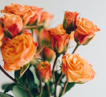 Fiori a domicilio: conosci il significato di quello che invii?
