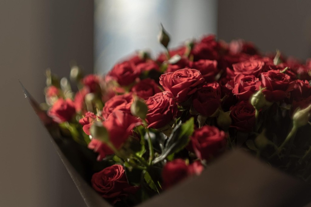fiori da regalare ad una ragazza