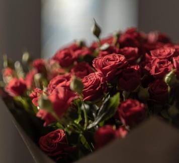 Cinque fiori da regalare ad una ragazza per fare colpo