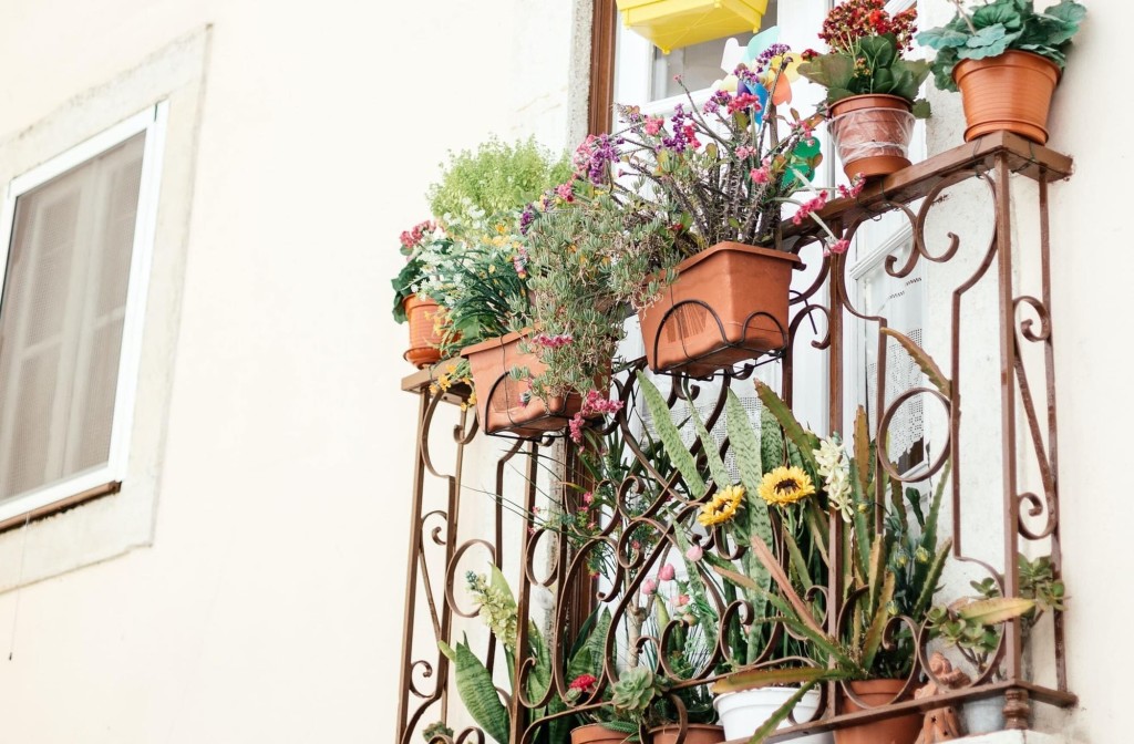 fiori perfetti per il tuo terrazzo estivo