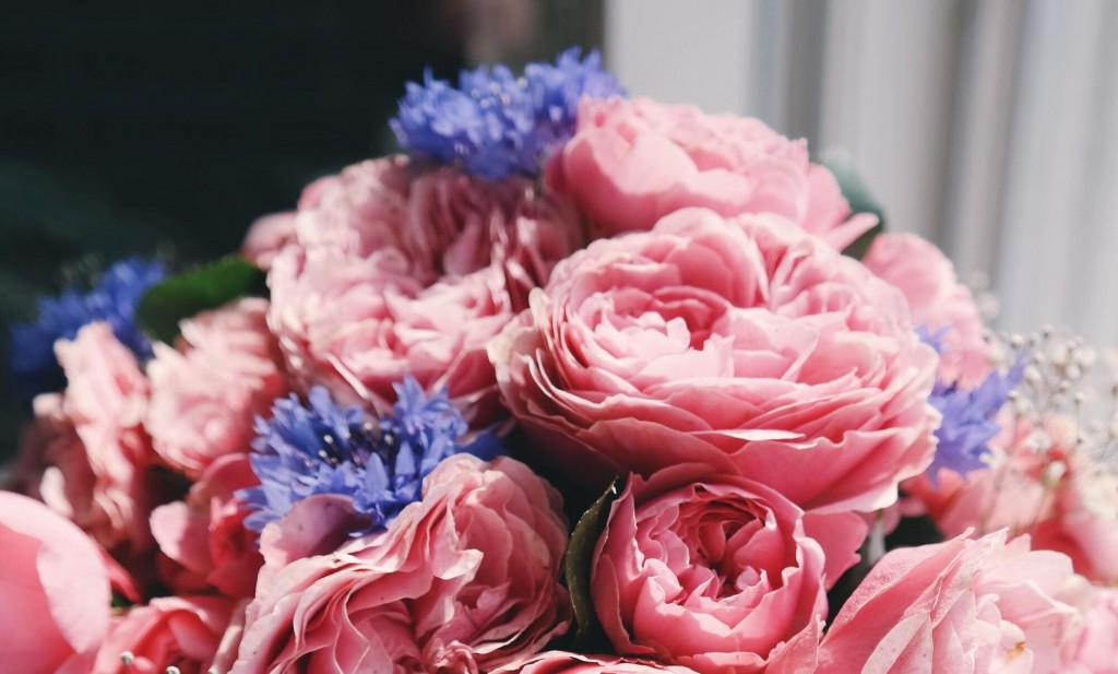 Regalare un bouquet di fiori