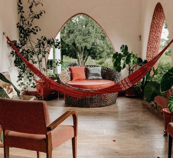 Quali sono i fiori più semplici da coltivare sul terrazzo di casa?