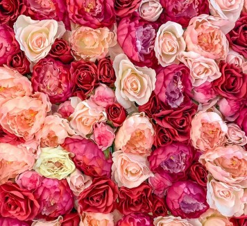 Fiori per San Valentino: consigli per celebrare l’amore