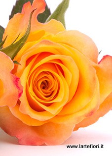 Arancio
